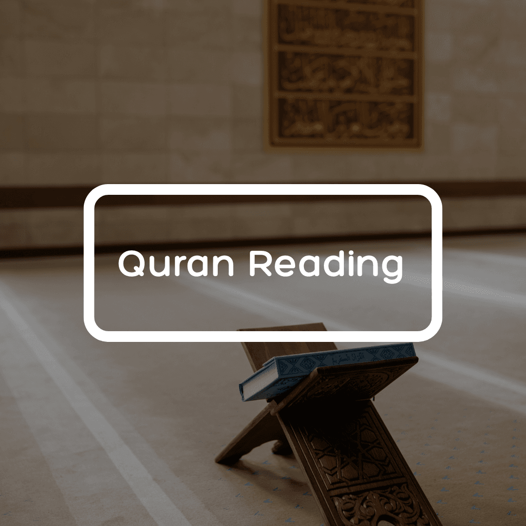 Quran Reading with Tajweed